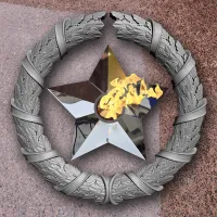 Венок вечный огонь чугун звезда нержавеющая сталь в Павловском Посаде (518577)