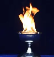 Мириатюрная чаша для огня в Павловском Посаде ∅ 210 мм. (518979)