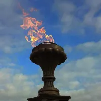 Газовая горелка апс (газ-контроль) (1629) сертификат - автомат вечный огонь ø 154 мм. ветроустойчивая  в Павловском Посаде
