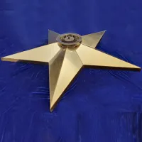 Звезда вечный огонь (1628) поставка комплект горелка ГВД 379 10 89 00 ПС ø 1100 мм. пустотелая в Павловском Посаде